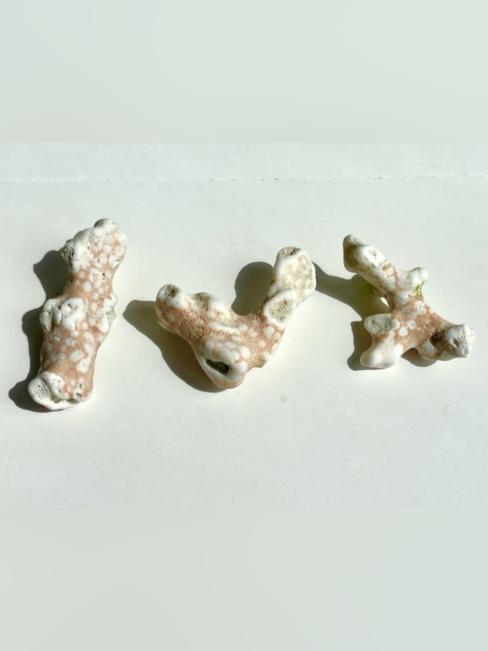 Indo pacific white and peach coral branches set of 3